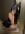 Arisha